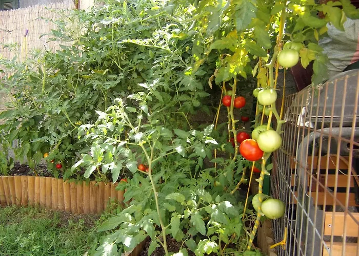 Finestra Rossa Old Town Vintage House Casa vacanze Lefkáda